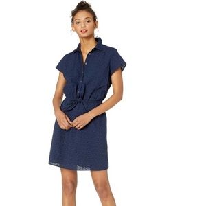 J Crew Mercantile Dress